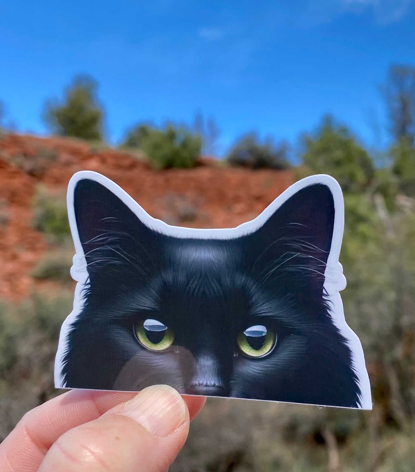 Cat half face Peek-A-Boo Sticker, Orange cat, Cat Mom, Cats, Cat Sticker, half face, sticker, black cat, Peek-a-boo, kitty cat, cat lover
