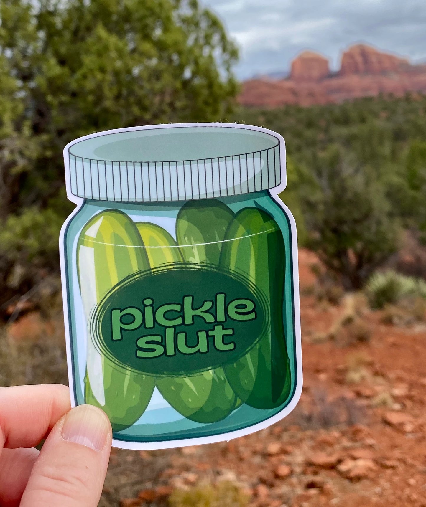 Pickle Slut Sticker, Pickles, Pickle Jar, Sticker, decal, Christmas gift, gift, humor, funny sticker, gift for her, pickle lover, dill, fun