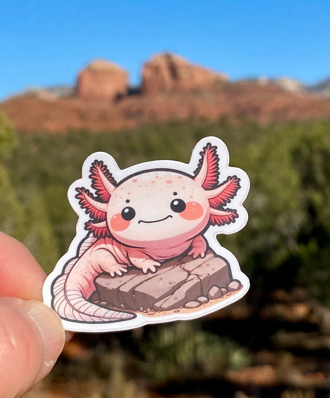 Pink Axolotl Sticker, Axolotl, Sticker, Decal, Amphibian, Mexican Salamander, Pets, Axolotl sticker, waterproof, vinyl, aquatic, whimsy