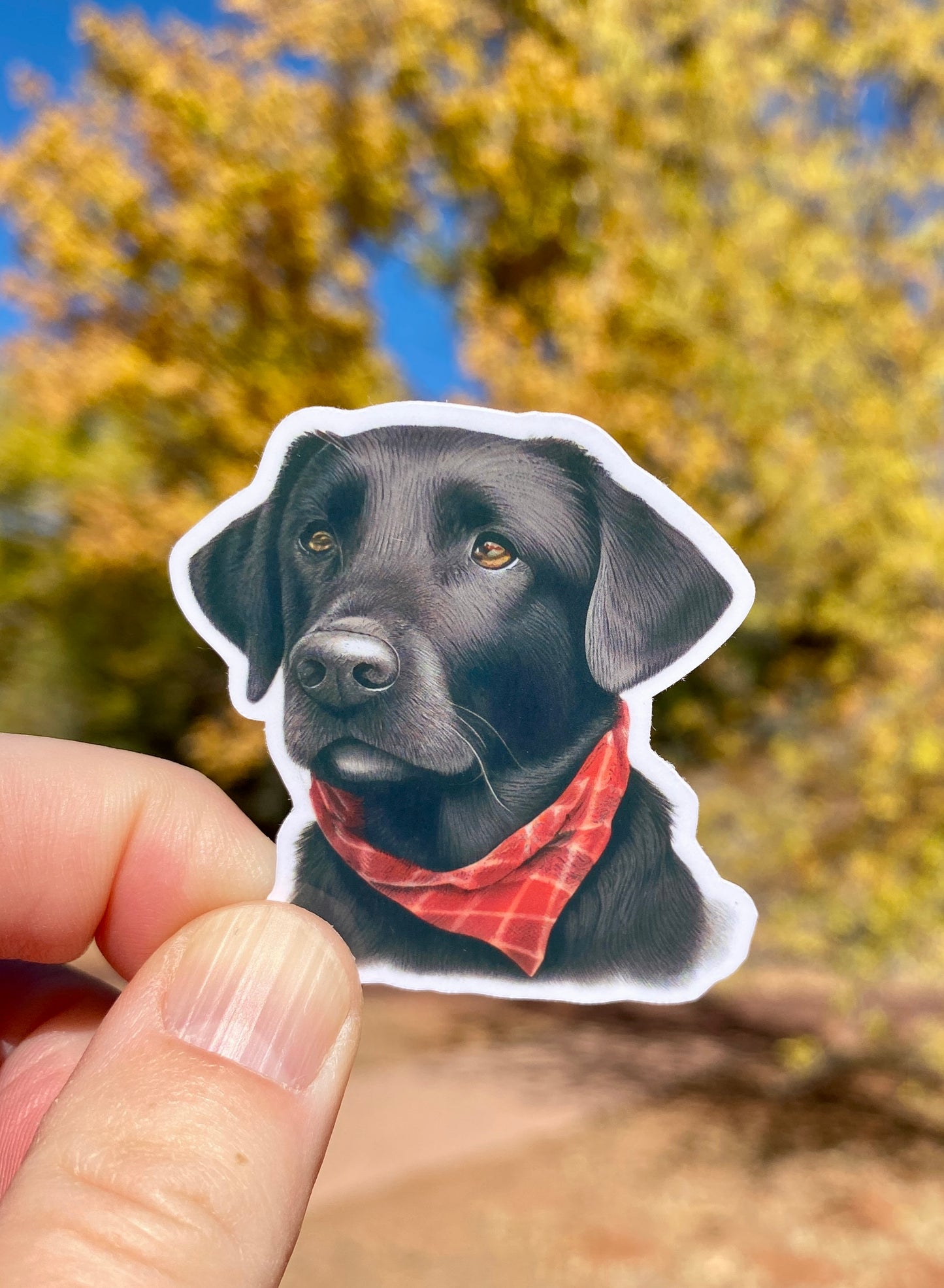 Black Lab Wearing Red bandanna Sticker, Black Lab Sticker, Dog Mom, Gift for Dog Mom, Black Lab Mom, Black Lab Lover, Dog Lover, dog gifts