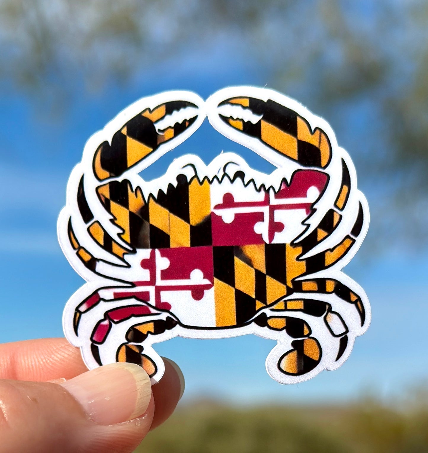 Maryland Crab Sticker, Maryland, crab, Maryland State Flag, sticker, coastal, Flag, Maryland Pride, state flag, Nautical, salt, Water bottle