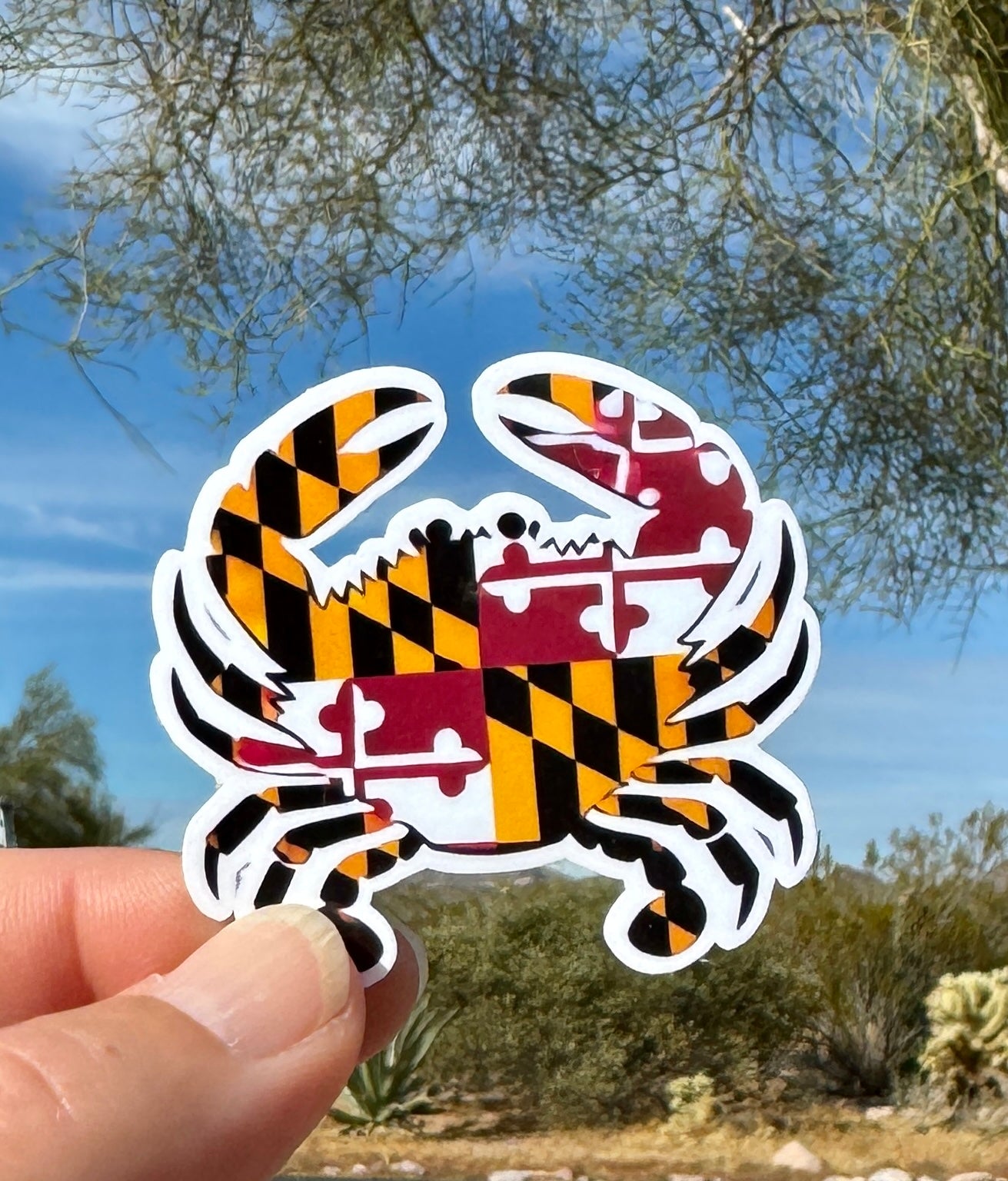 Maryland Crab Sticker, Maryland, crab, Maryland State Flag, sticker, coastal, Flag, Maryland Pride, state flag, Nautical, salt, Water bottle