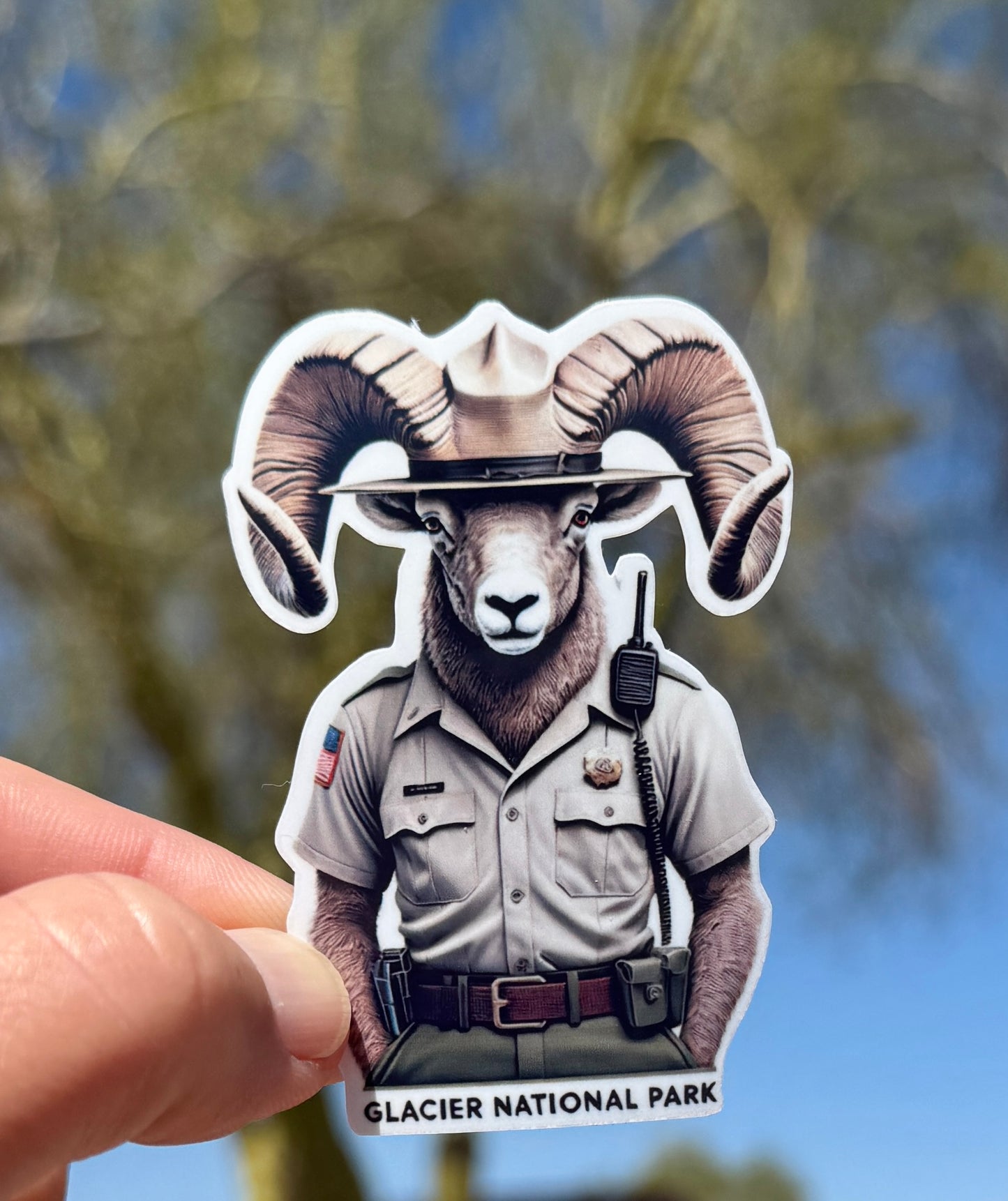 Bighorn Sheep Park Ranger Sticker, park ranger, NPS, Glacier national park, parks service, sticker ,hike, protect our parks, bighorn sheep