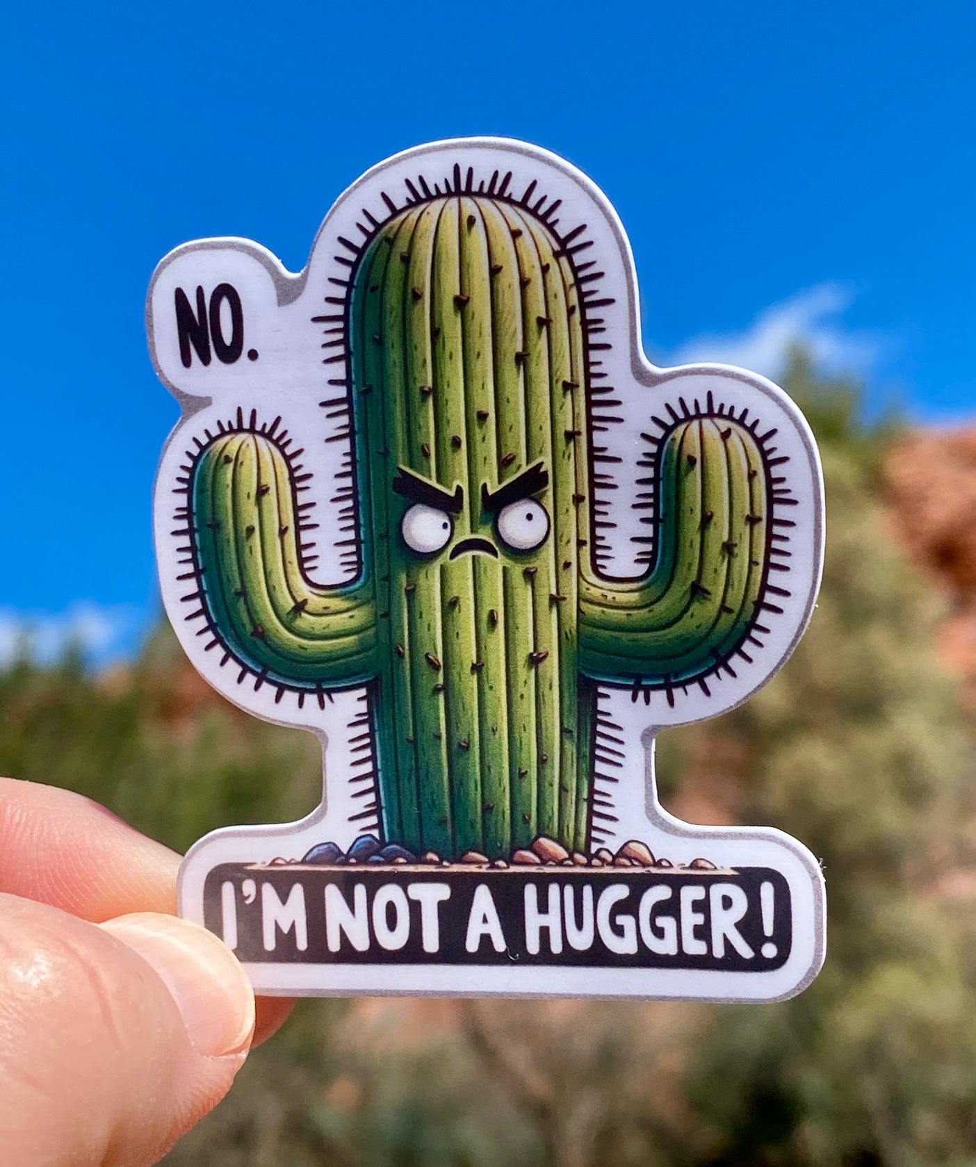 Cactus I'm Not a Hugger Sticker, Cactus, Sticker, Decal, Saguaro, Hugger, Prickly, Desert, Cacti, Not a Hugger, Emotions, Arizona,Succulent