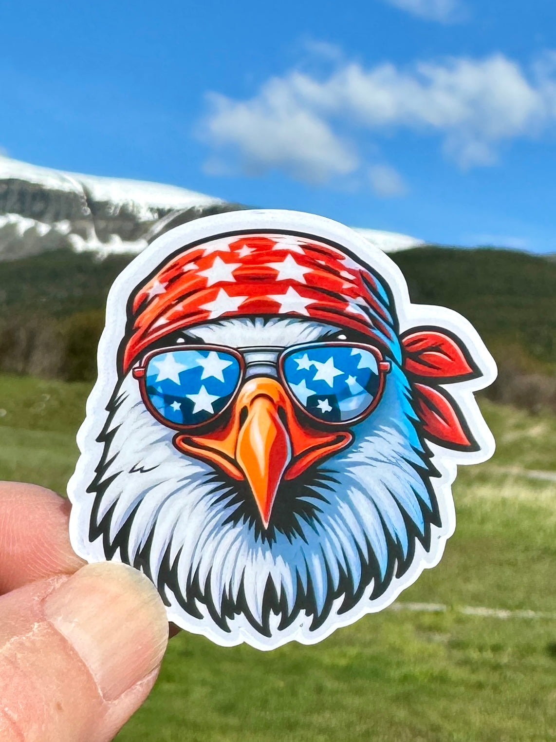 Patriotic Bald Eagle Sticker, American, America, 4th of July, Independence Day, Sticker, Freedom, Bald Eagle, Patriotic, Merica, Holiday,USA