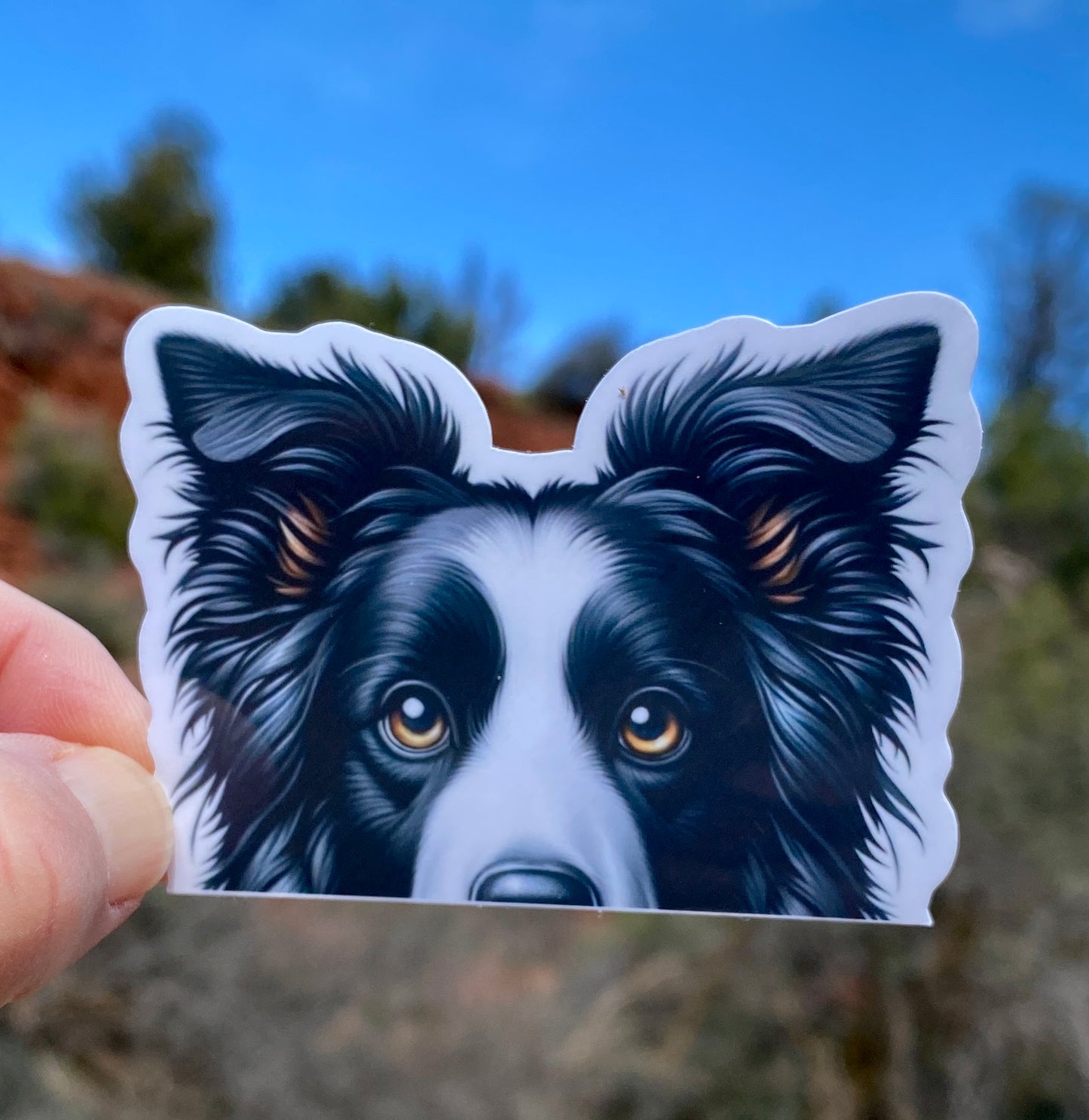 Border Collie Peek-A-Boo Sticker, Border Collie, Dog Mom, Collie, Dog Sticker, Dogs, sticker, Farm Dog, Cute, Brown Eyes, Canine, Peek-a-boo