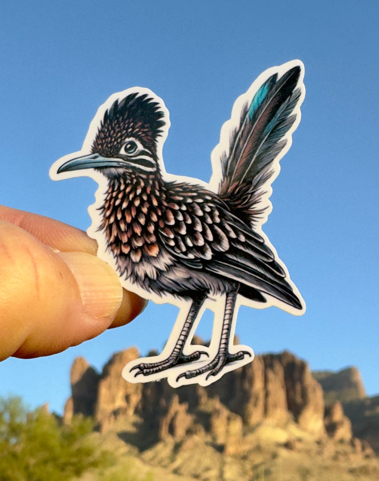 Realistic Roadrunner Sticker, roadrunner, Feathers, Sticker, realistic, Bird, bird lover, bird enthusiast, birding, southwestern,desert,cute